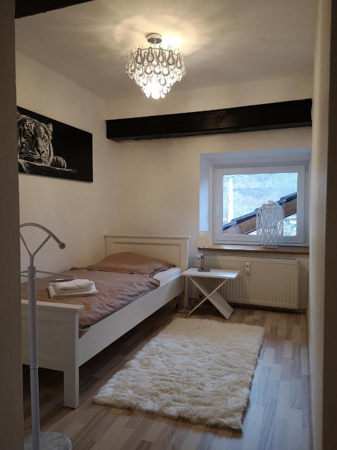 נוישטט אן דר ואלדנאב Apartment Direkt An Der Waldnaab מראה חיצוני תמונה