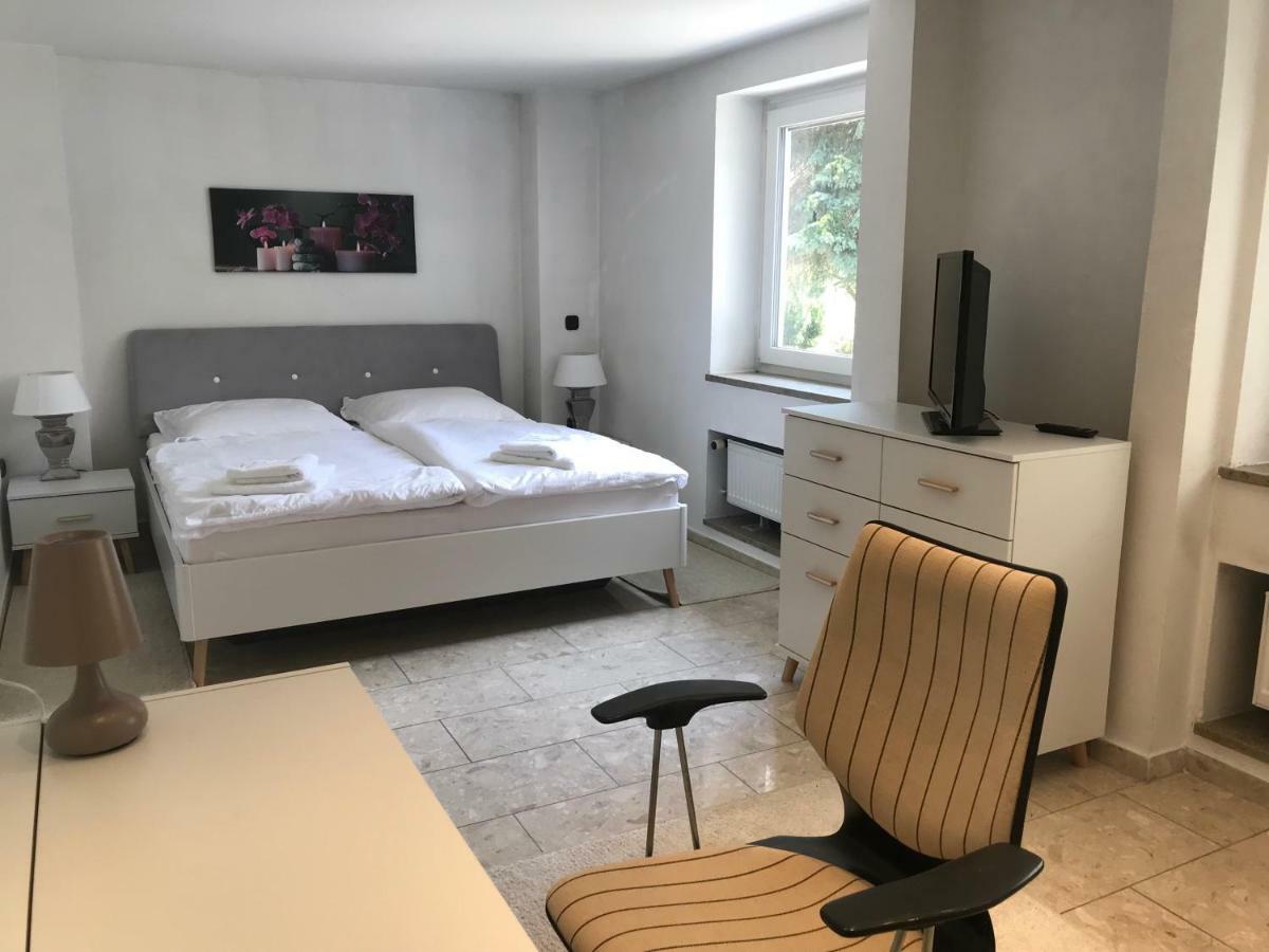 נוישטט אן דר ואלדנאב Apartment Direkt An Der Waldnaab מראה חיצוני תמונה