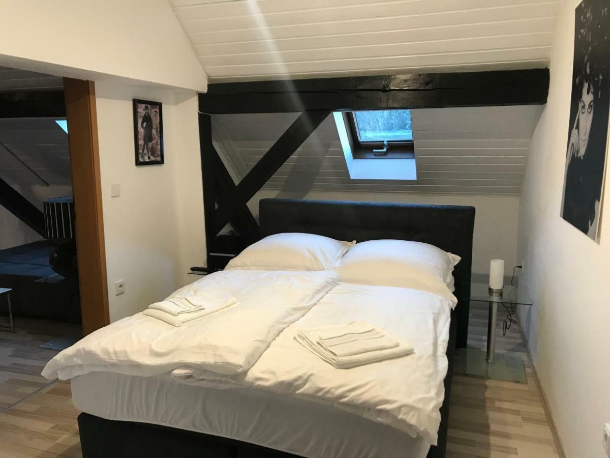 נוישטט אן דר ואלדנאב Apartment Direkt An Der Waldnaab מראה חיצוני תמונה